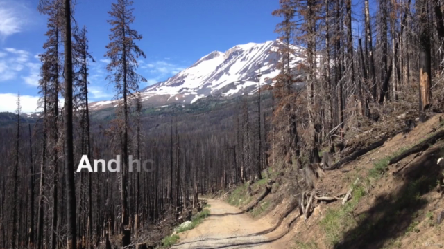 Wilderness (Outdoor) First Aid – Screenshot 2