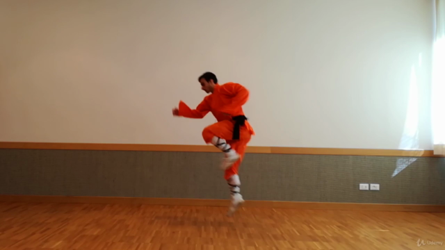 Kung Fu Shaolin Student Level 2 - Part 1 - Screenshot_01