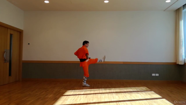 Kung Fu Shaolin Student Level 2 - Part 1 - Screenshot_02