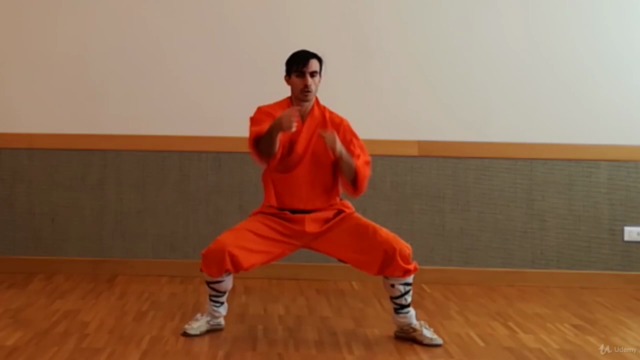 Kung Fu Shaolin Student Level 2 - Part 1 - Screenshot_03