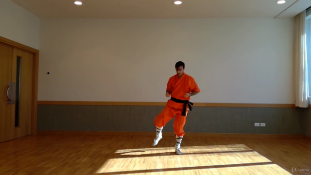 Kung Fu Shaolin Student Level 2 - Part 1 - Screenshot_04
