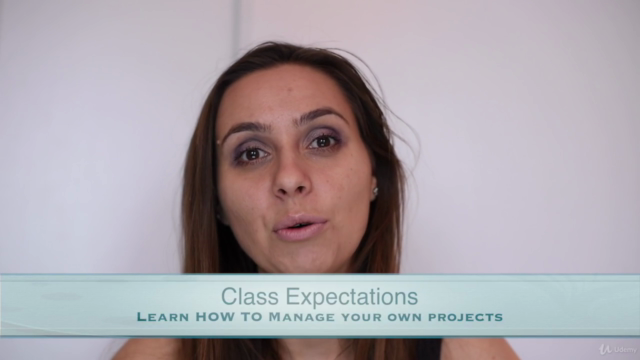 Professional Project Management By A Top 1% Project Manager – Screenshot 2