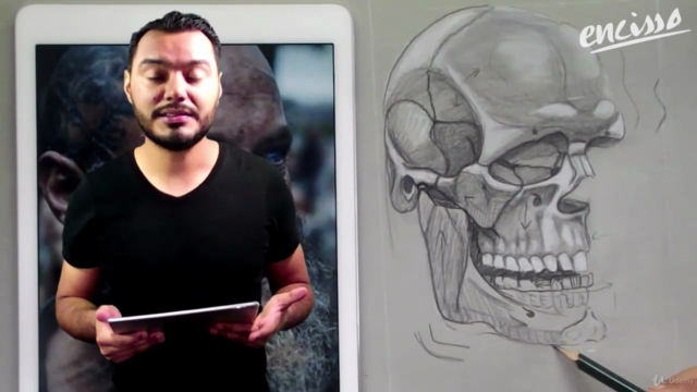 The Face Anatomy Drawing Course: Anatomy To Render – Screenshot 2