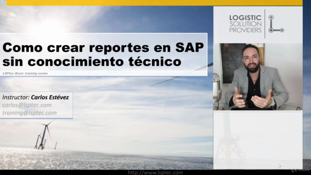 Cómo crear reportes en SAP sin conocimiento técnico – Screenshot 2