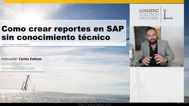 Cómo crear reportes en SAP sin conocimiento técnico – Screenshot 3