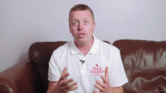 Walk Yourself Wealthy - The Dog Walker Business Course – Screenshot 4