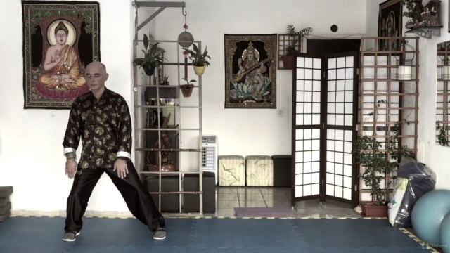 Curso de Tai Chi Chuan para a Saúde e bem estar – Screenshot 2