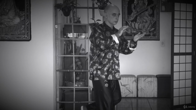 Curso de Tai Chi Chuan para a Saúde e bem estar – Screenshot 3