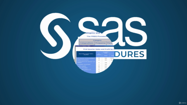 SAS PROCEDURES for beginners & A lot of PRACTICE – Screenshot 1