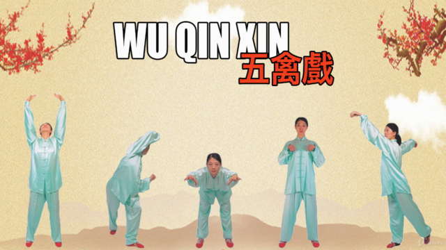 Qi Gong de los 5 animales de Hua Tou – Screenshot 1