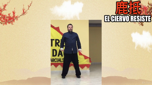 Qi Gong de los 5 animales de Hua Tou – Screenshot 3