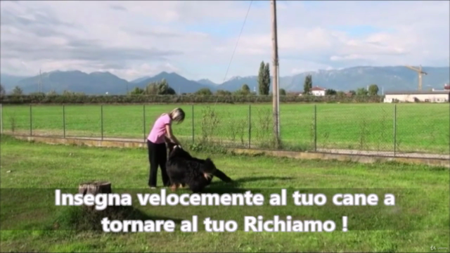 Come addestrare il tuo cane – Screenshot 3