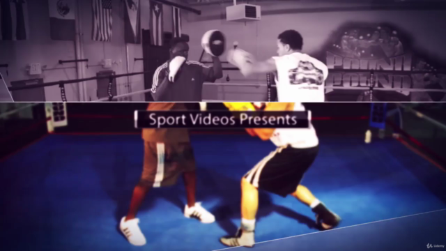 Boxing Tips and Techniques Vol. 1 - Fundamentals – Screenshot 1