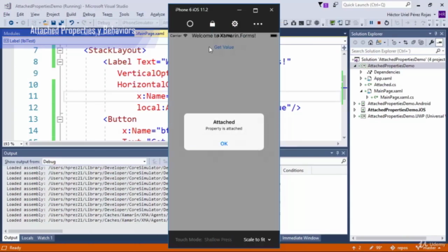 Curso avanzado en temas selectos de Xamarin Forms – Screenshot 1