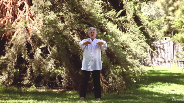 Total Chi Kung: Aprendizaje y práctica con la energía Qigong – Screenshot 3