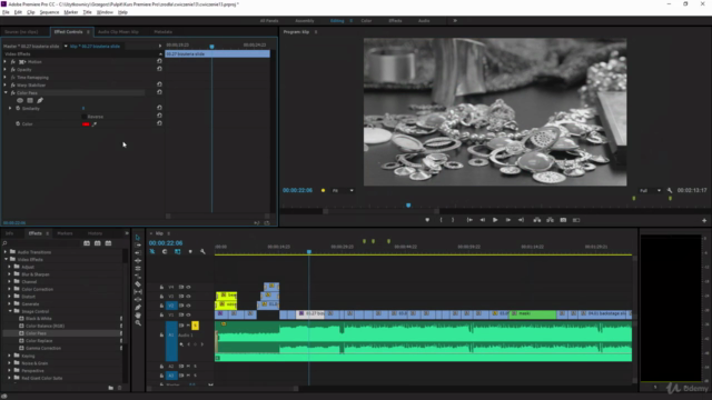 Kurs Adobe Premiere Pro w Praktyce – Screenshot 2