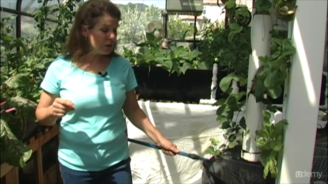 Aquaponic Gardening: Growing Fish and Vegetables Together – Screenshot 2