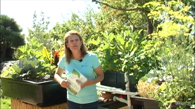 Aquaponic Gardening: Growing Fish and Vegetables Together – Screenshot 4