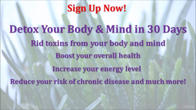 How to Detox Your Body & Mind – Screenshot 4