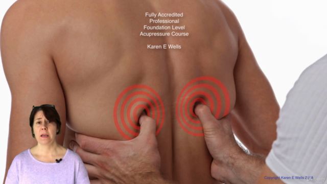 Fully Accredited Professional Foundation Acupressure Diploma – Screenshot 1