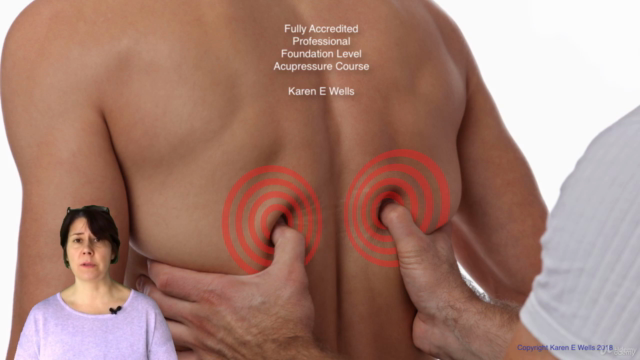 Fully Accredited Professional Foundation Acupressure Diploma – Screenshot 3