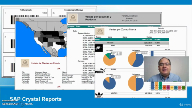 SAP Crystal Reports consultor analista de basico a experto – Screenshot 4