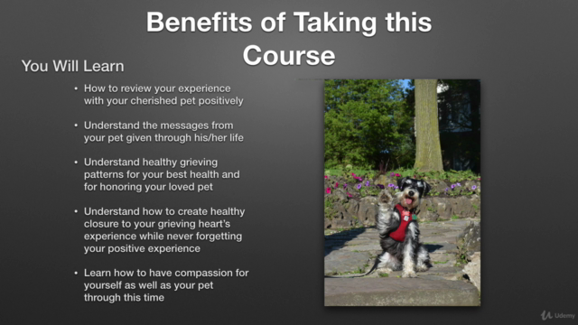 Grieving Pet Loss - Honoring the Process – Screenshot 3