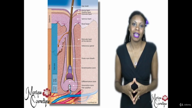 Waxing Refresher Course – Screenshot 2