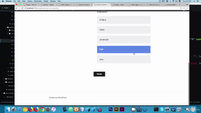 Desarrollo de Plugins para WordPress con PHP, JS, CSS y HTML – Screenshot 4