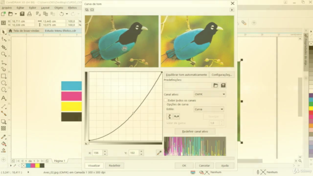 Mega Curso Profissional de Corel Draw – Screenshot 3