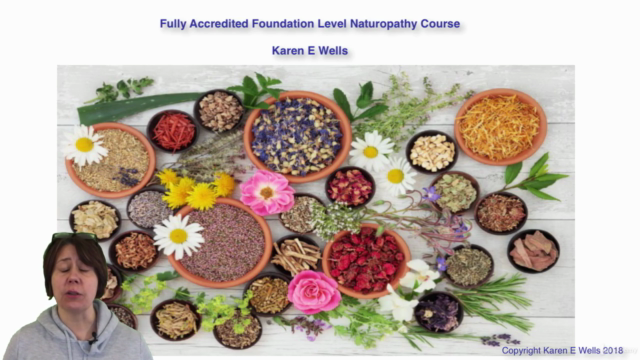 Fully Accredited Foundation Diploma Course in Naturopathy – Screenshot 1