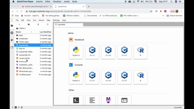Python para Mineração de Dados SEM USAR BIBLIOTECAS – Screenshot 3