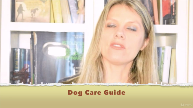 Dog Care Guide to train an happy pet – Screenshot 2