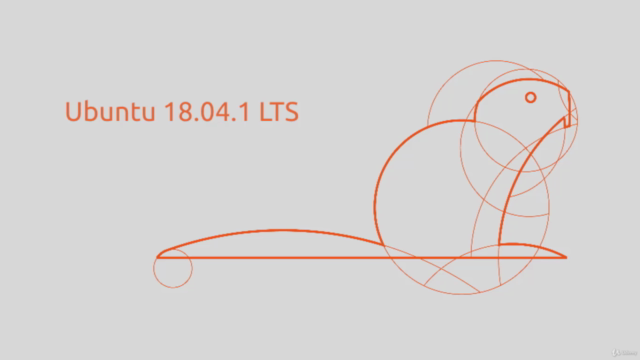 Aprende a crear un servidor web en Ubuntu 18.04 / 20.04 LTS – Screenshot 2