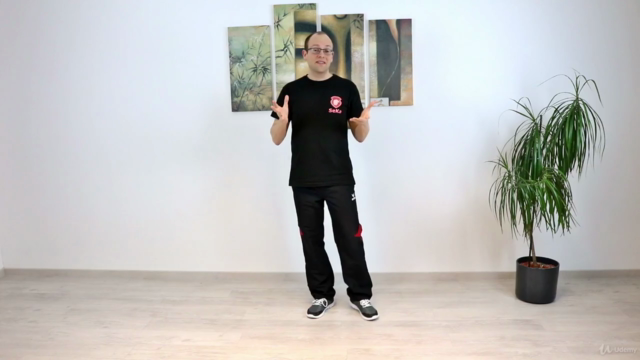 Selbstverteidigung lernen - Schritt für Schritt – Screenshot 4