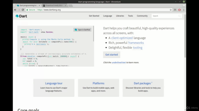 Dart - Beginners Course – Screenshot 2