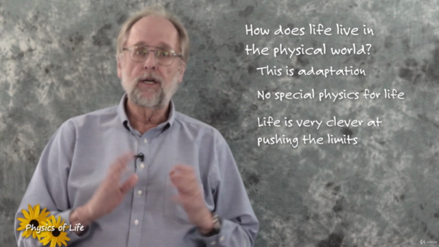 Physics of Life 2. Biomechanics - Screenshot_02