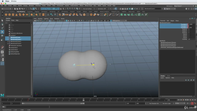 3D Medical Animation in Autodesk Maya - Screenshot_01