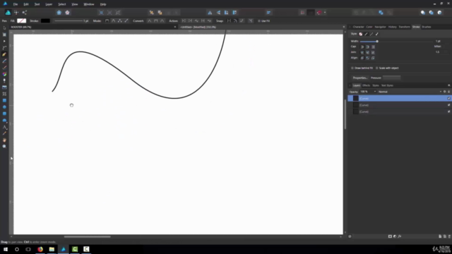 Affinity Designer Complete Course: Beginner to Advanced – Screenshot 2