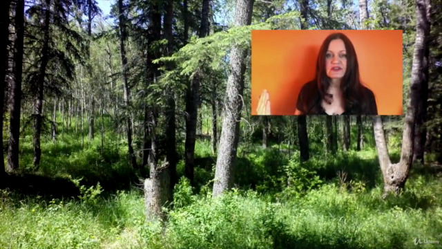 How To Do A Soul Retrieval - Advanced Shamanic Journeying – Screenshot 3