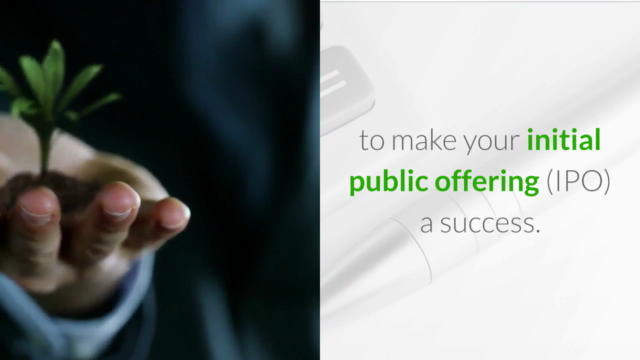 The Complete IPO Course: Learn Initial Public Offerings – Screenshot 2