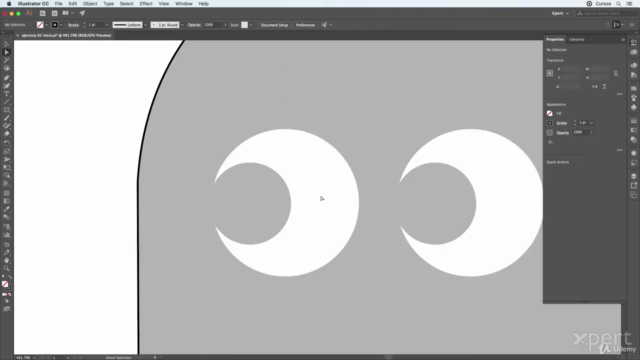 Adobe Illustrator Máster: De Básico a Profesional. – Screenshot 2