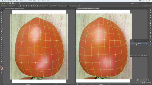 Adobe Illustrator Máster: De Básico a Profesional. – Screenshot 4