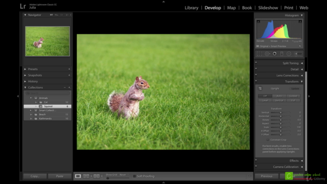 Adobe Lightroom For Beginners : Complete Photo/Image Editing - Screenshot_04
