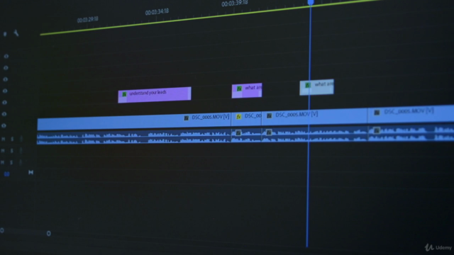 Learn Video Editing with Adobe Premiere Pro CC In 30 Minutes – Screenshot 4