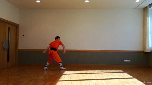 Kung Fu Shaolin: Baji Level 1 - Part 1 - Screenshot_01