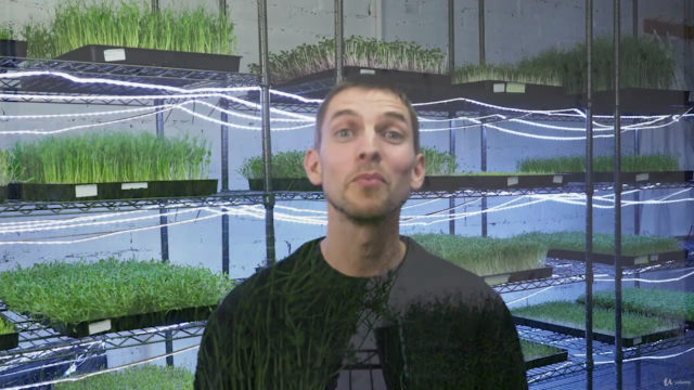 Growing Microgreens for Business and Pleasure – Screenshot 4