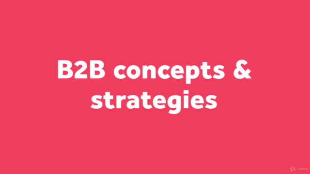 25 Sales Strategies for B2B: The Complete B2B Masterclass - Screenshot_02