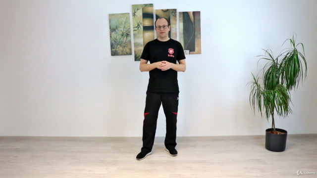 Wing Chun / JKD: Trapping & Chi Sao – Screenshot 1