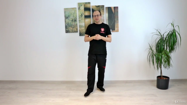 Wing Chun / JKD: Trapping & Chi Sao – Screenshot 2